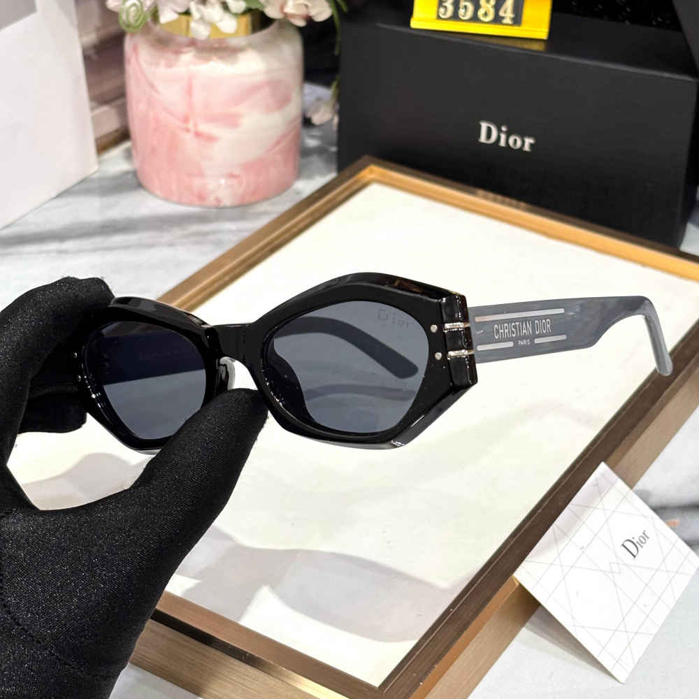 Dior Black & Silver Premium Women's Sunglasses-1