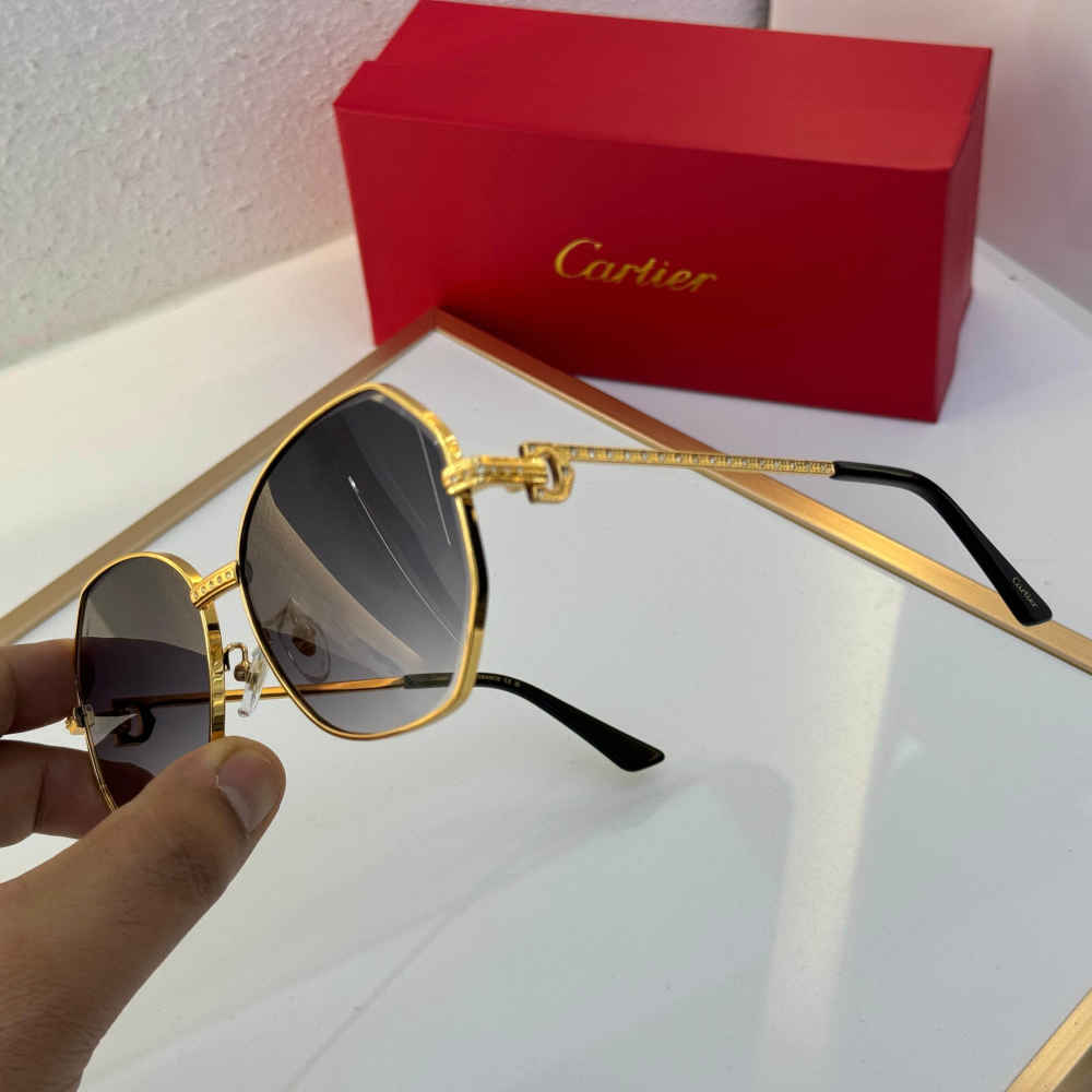 Cartier Blue Premium Women's Sunglasses-1