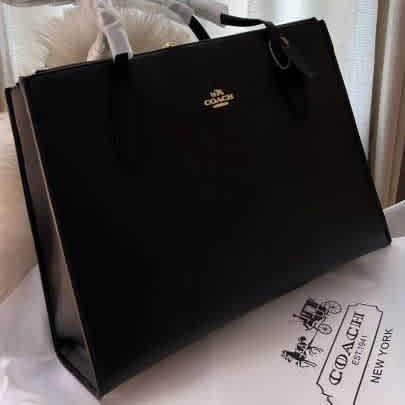 Coach Nina Carryall Premium Tote Bag-2