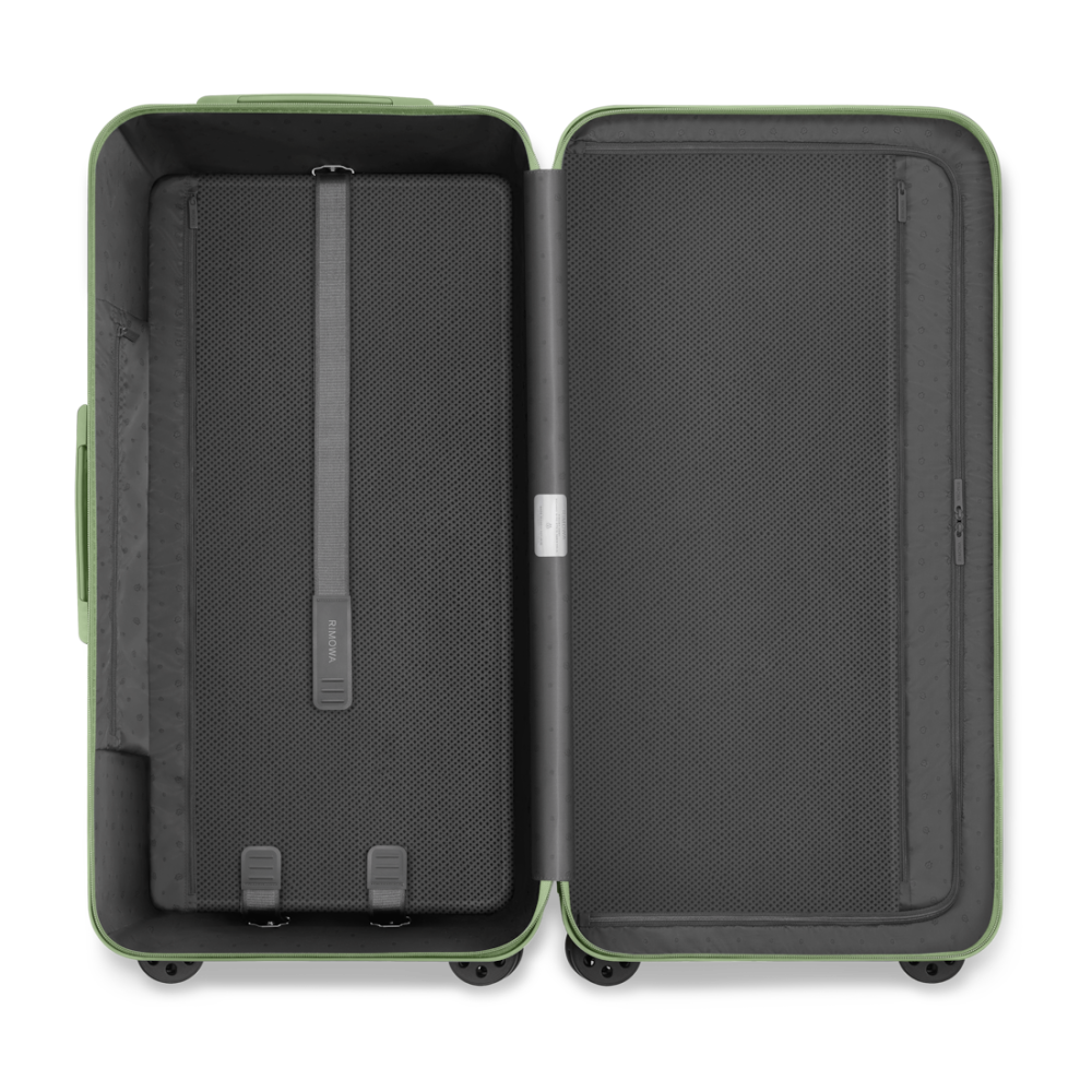 Rimowa Light Green Premium Trunk Plus Trolley Bag-4