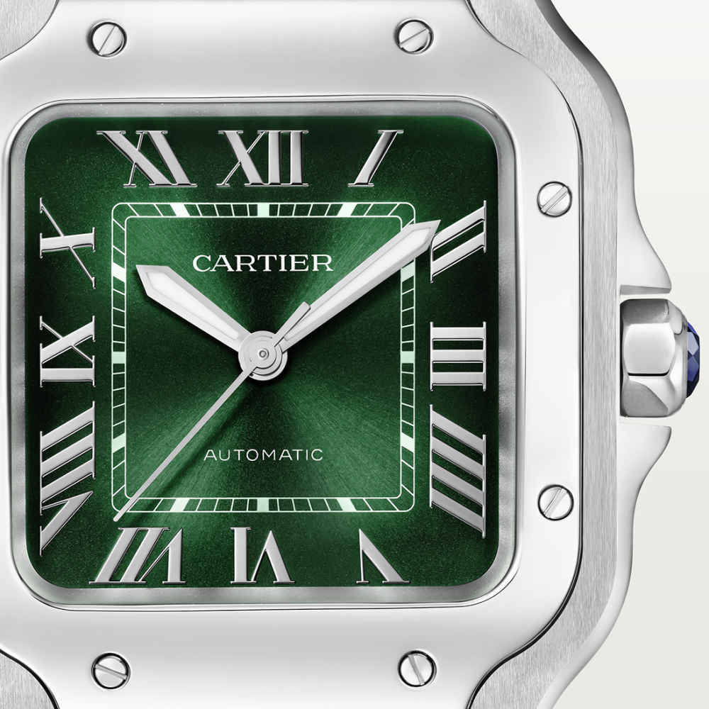 Cartier Automatic Movement Santos Watch WSSA0061-6