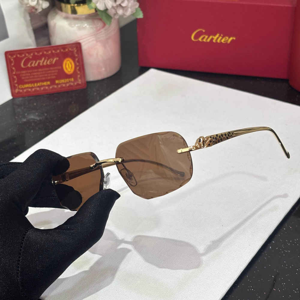 Cartier Brown Luxury Sunglasses-1