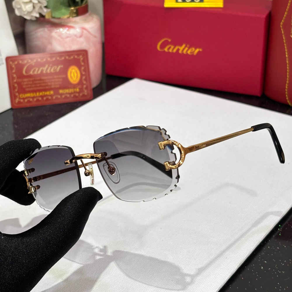 Cartier Grey Luxury Sunglasses-2