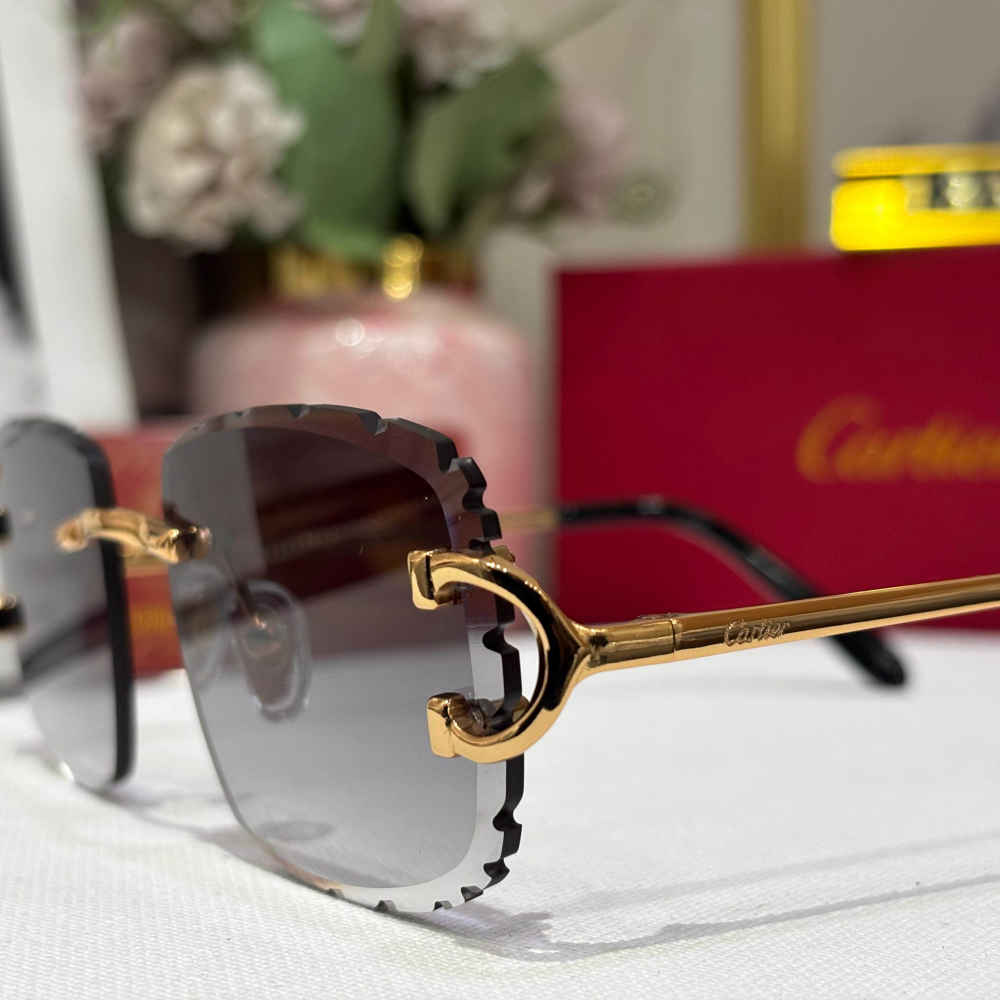 Cartier Grey Luxury Sunglasses-3