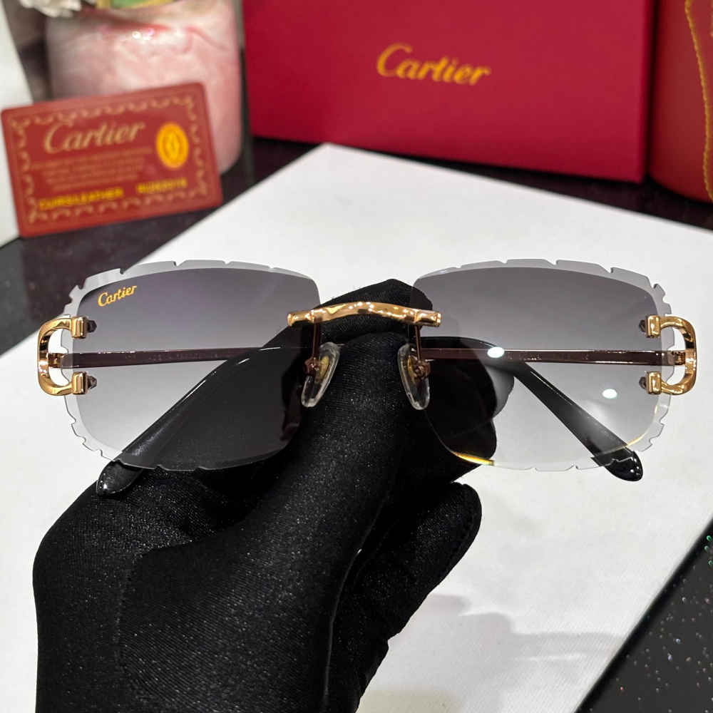 Cartier Grey Luxury Sunglasses-4
