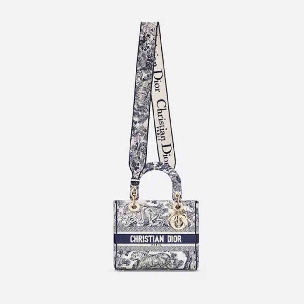 Dior Embroidered Blue Lady D-Lite Handbag-4
