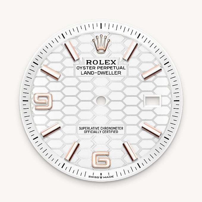 Rolex Land-Dweller Oyster, 40 mm, Everose gold M127335-0001-4