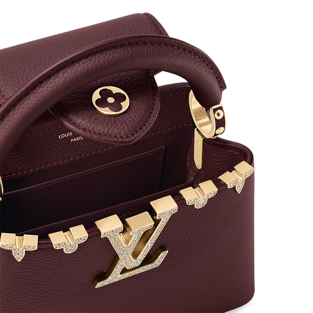 Louis Vuitton Capucines Wine Handbag-5