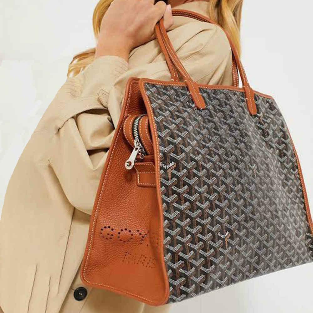 Goyard Hardy PM Black & Brown Tote Bag-2