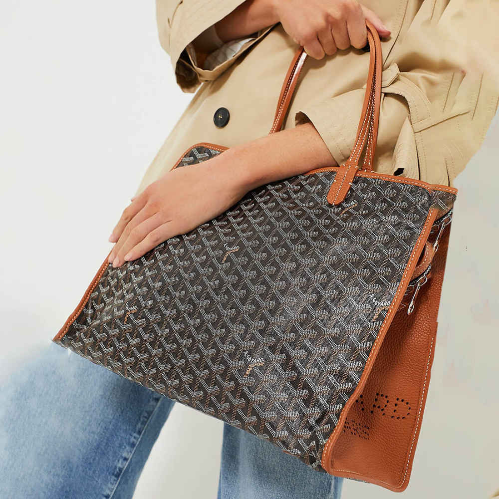 Goyard Hardy PM Black & Brown Tote Bag-3