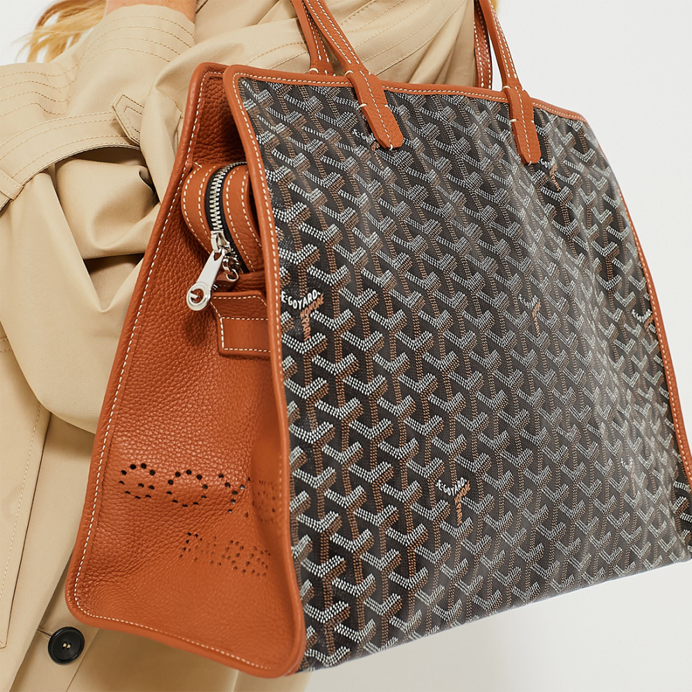 Goyard Hardy PM Black & Brown Tote Bag-1