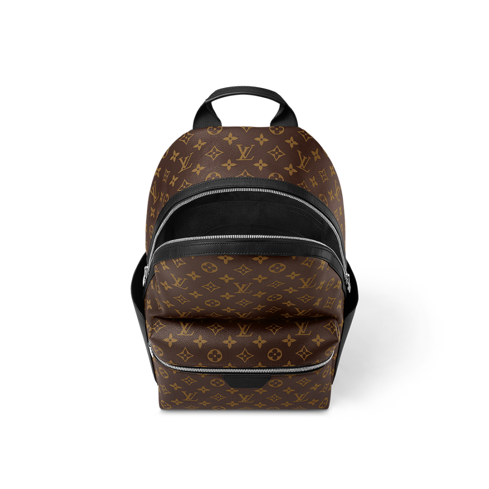 Louis Vuitton Palm Springs Bag-thumb-2