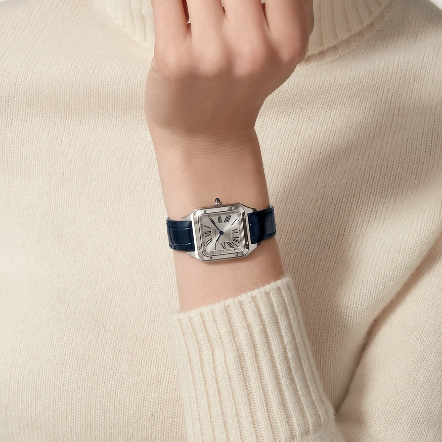 Cartier Santos-Dumont Small Model Watch WSSA0086-8