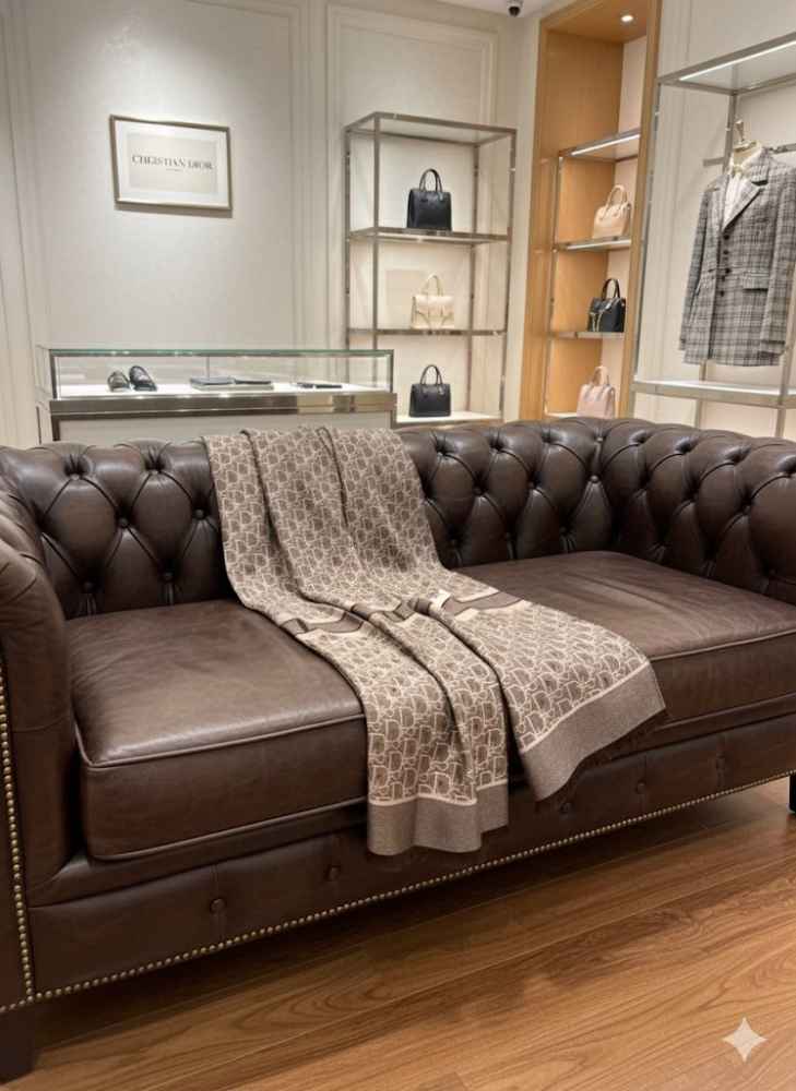 Christian Dior Premium Quality Brown Silk Stole-1