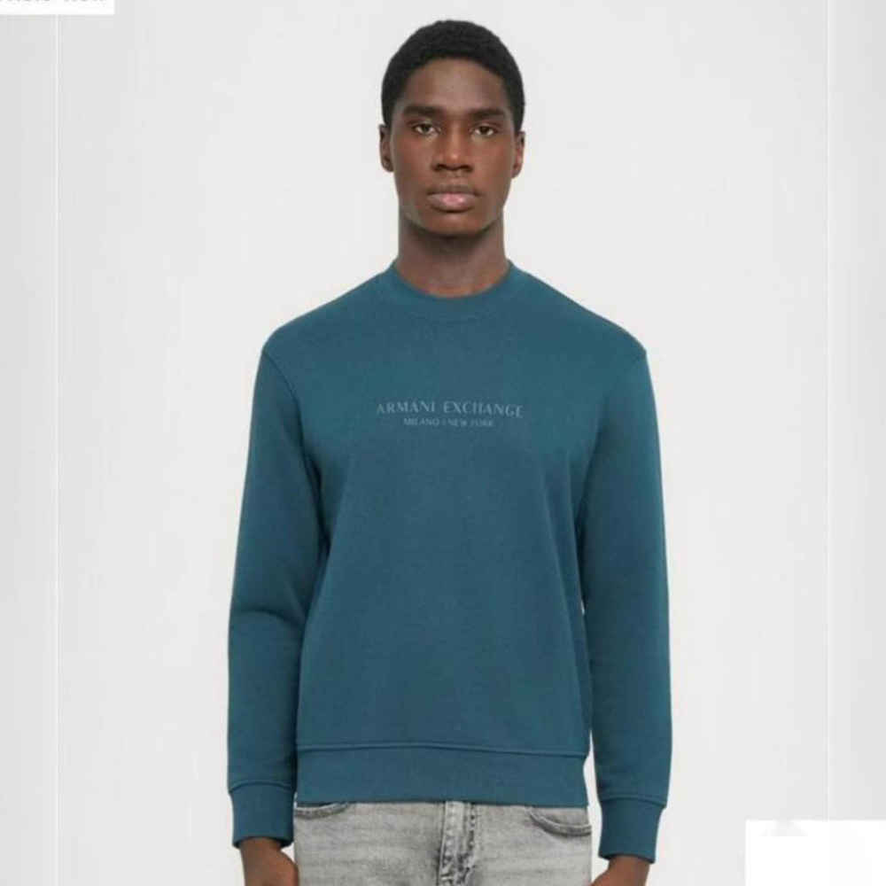 Armani Exchange Sky Blue Premium Quality Sweatshirt-thumb-0