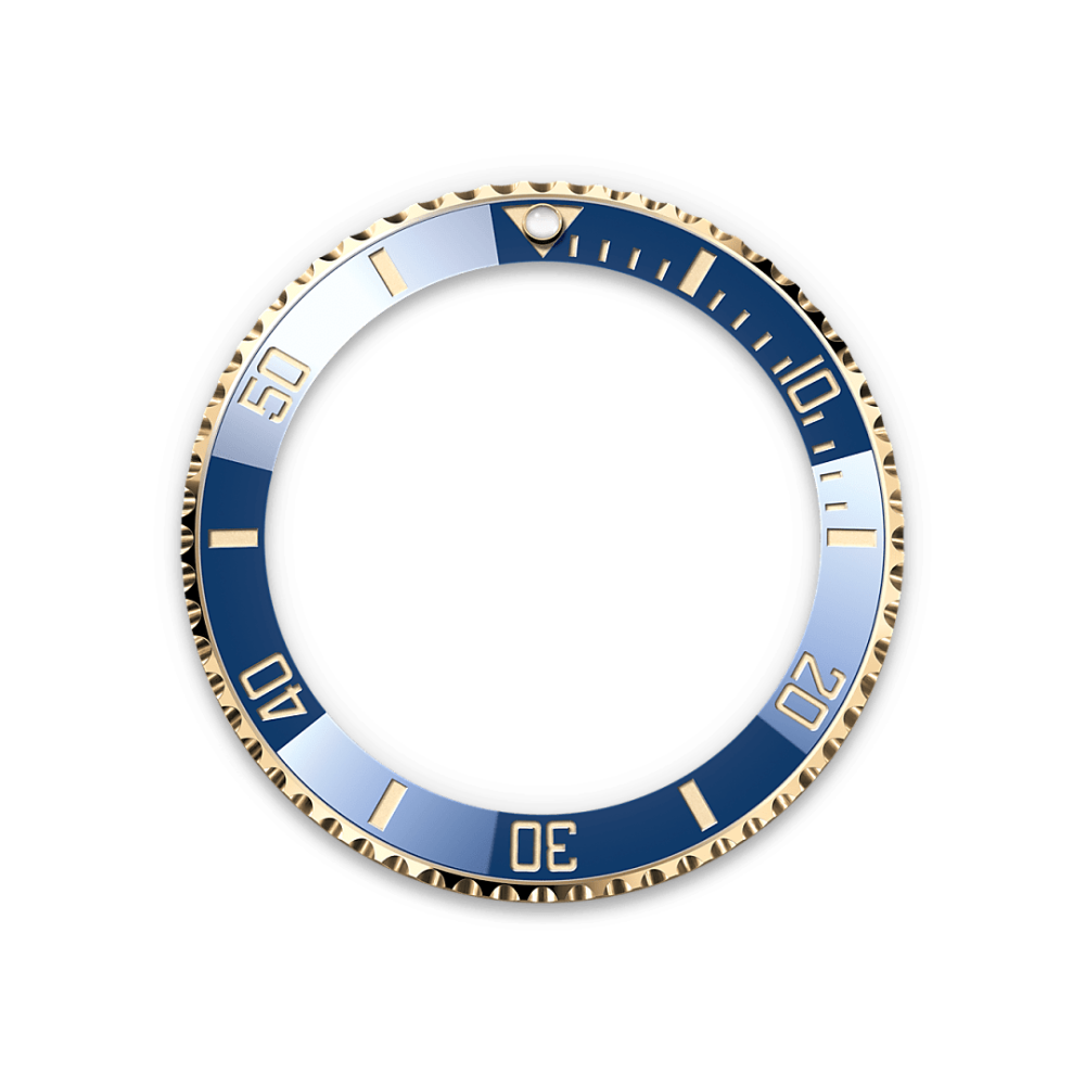 Rolex Submariner Date Oyster, Oystersteel and yellow gold M126613LB-0002-4