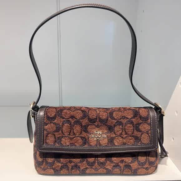 Coach Eatta Brown Small Flap Tote Bag-1