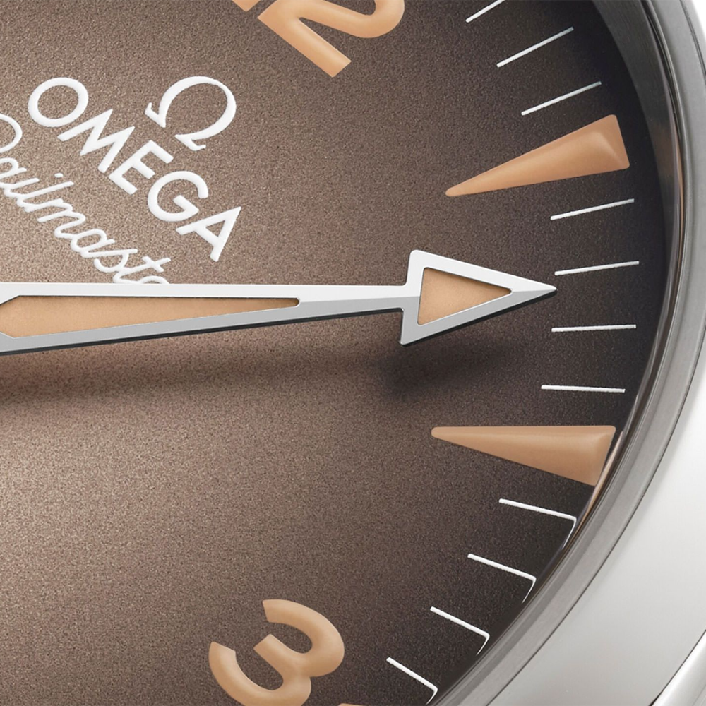 Omega Seamaster Railmaster Stainless Steel Mens Watch 235.10.38.20.13.001-4