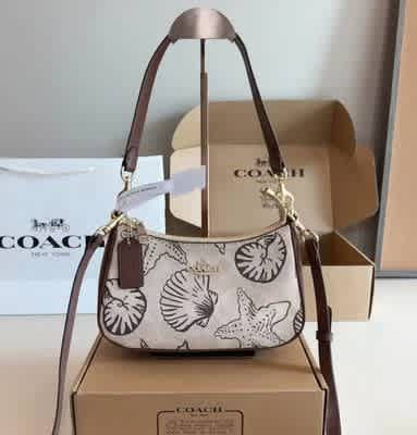 Coach C Logo Teri Shell Brown Hobo Bag-thumb-0
