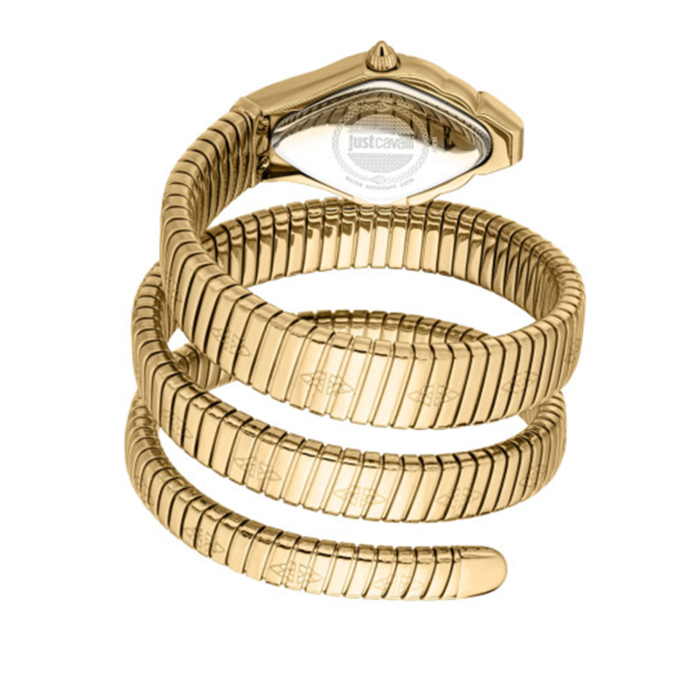 Just Cavalli Women Textured Dial & Stainless Steel Straps Analogue Watch JC1L307M0035-2