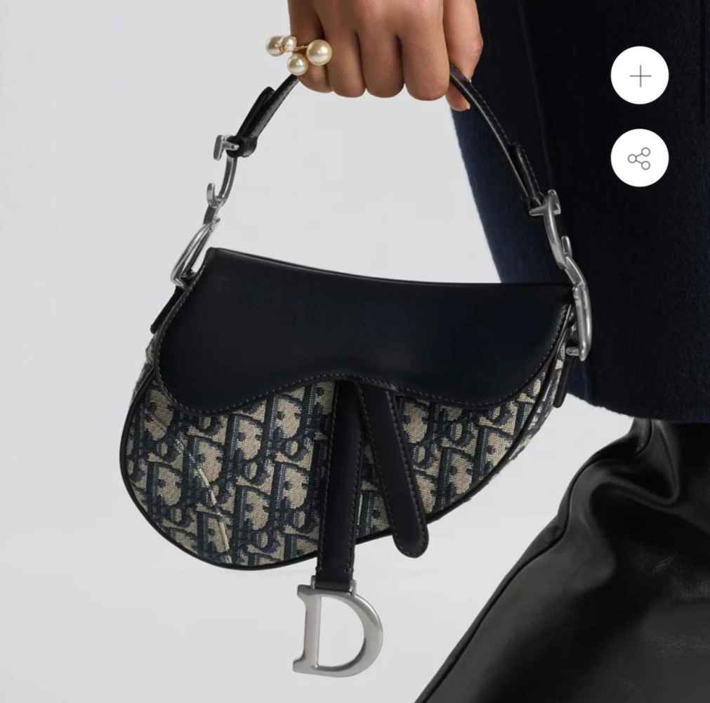 Dior Saddle Small Black Bag-1