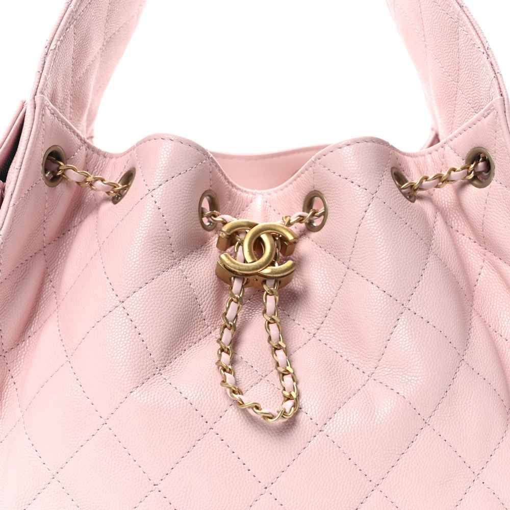 Chanel Maxi Pink Mini Hobo Bag-5