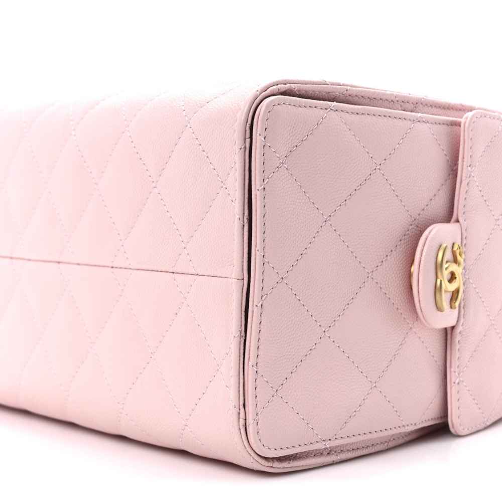 Chanel Maxi Pink Mini Hobo Bag-6