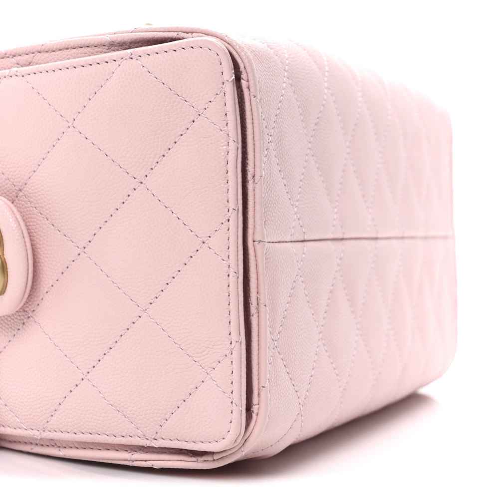 Chanel Maxi Pink Mini Hobo Bag-8
