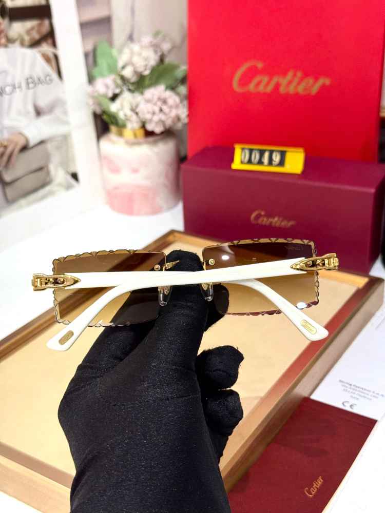 Cartier Colour Changing Lens Brown Premium Sunglasses-4