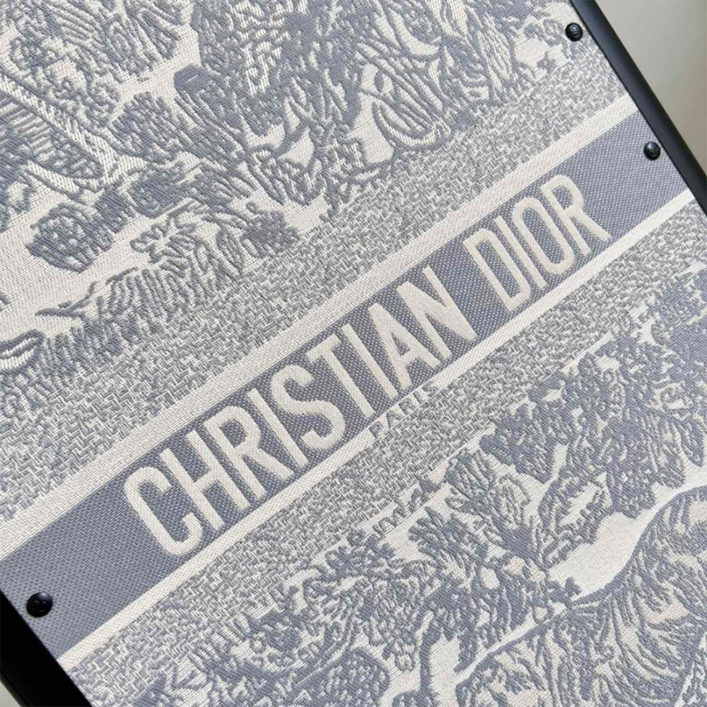 Christian Dior Horizon Cabin Grey Trolley Bag-thumb-1