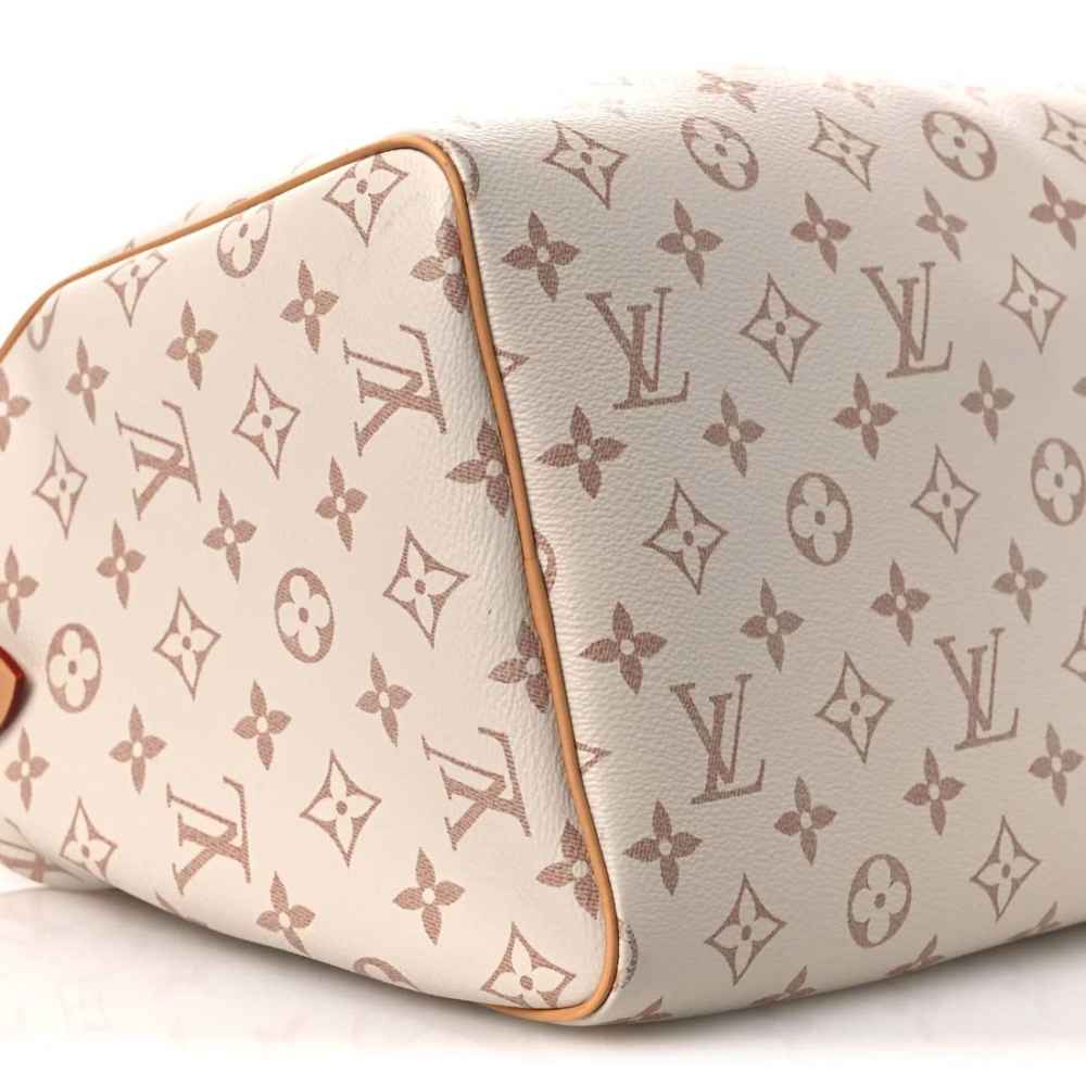 Louis Vuitton Monogram Dune Lucky Speedy Soft 30 Duffle Bag-thumb-4