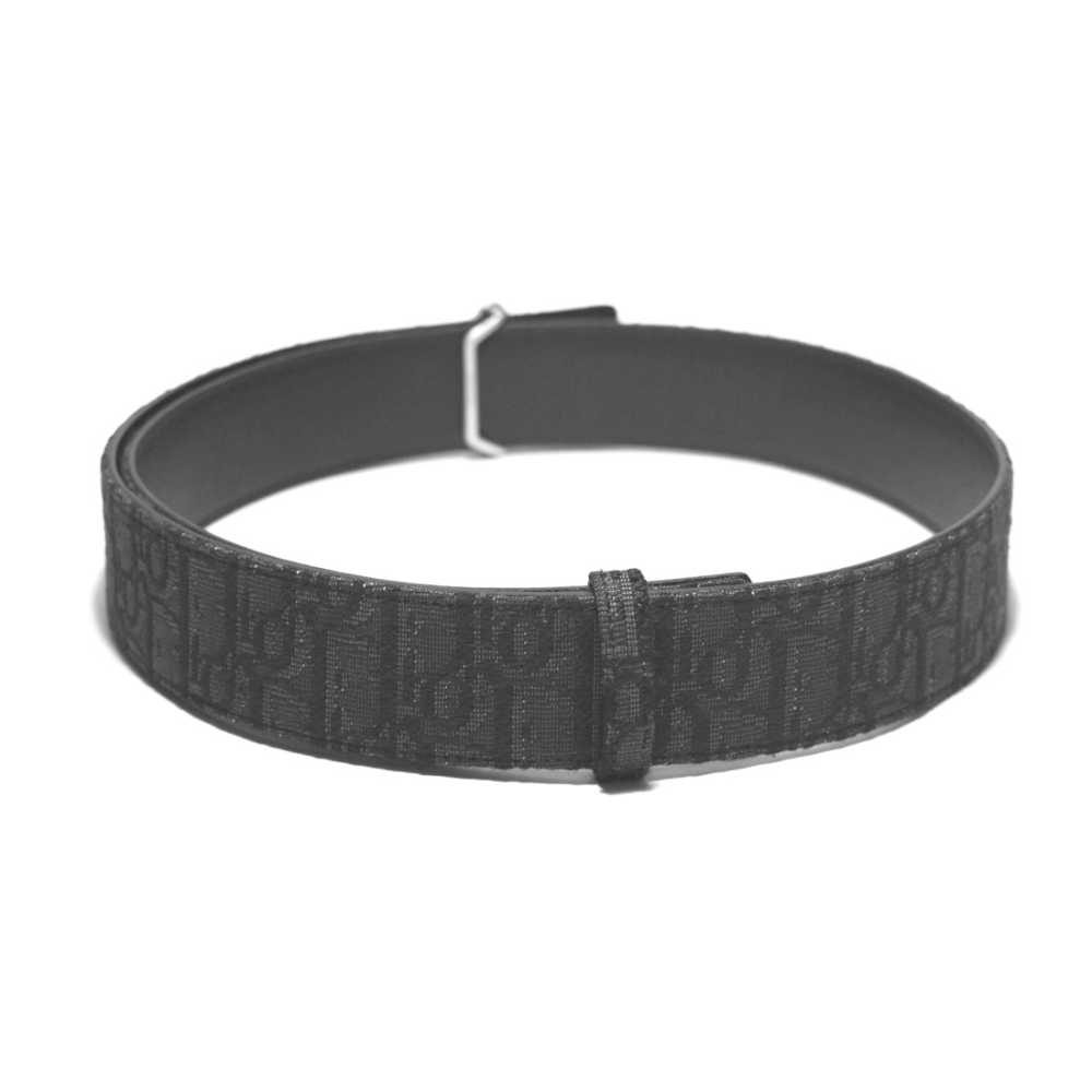 Dior Silver Buckle Premium Belt-1