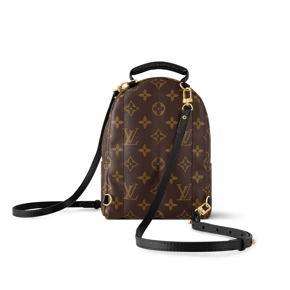 Louis Vuitton Palm Springs Mini Bag-thumb-2