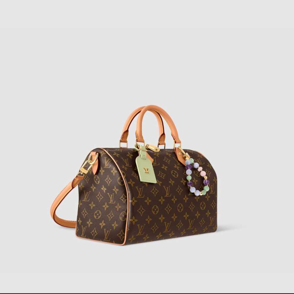 Louis Vuitton Speedy Soft 30 Lucky Brown Handle Bag-1