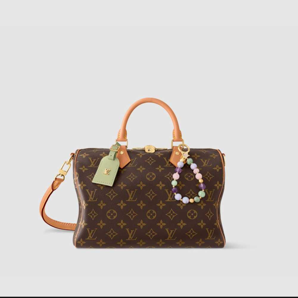 Louis Vuitton Speedy Soft 30 Lucky Brown Handle Bag