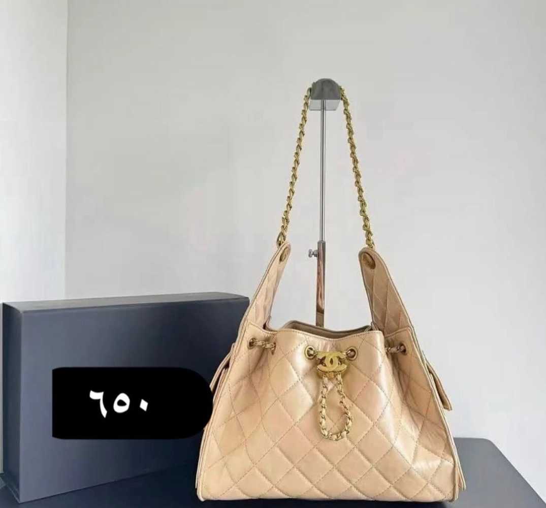 Chanel Maxi Brown Mini Hobo Bag-0