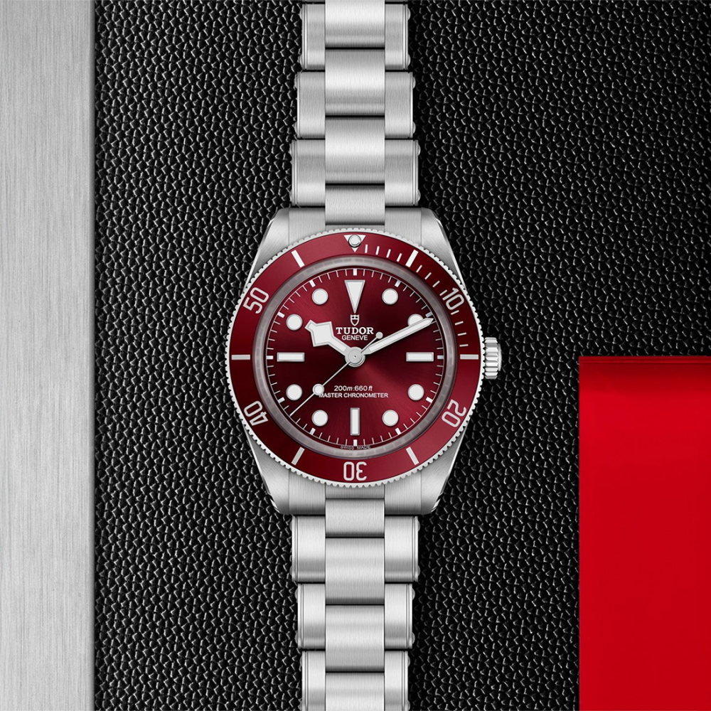 Tudor Black Bay 58 Automatic Burgundy Dial Stainless Steel Mens Watch M7939A1A0RU-0002-6