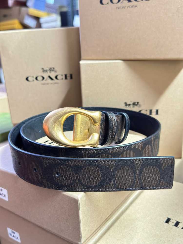 Coach Blue Premium Quality Belt
