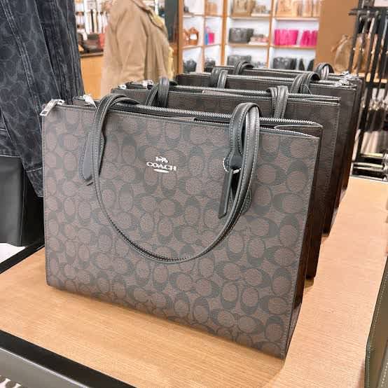 Coach Nina Carryall Brown Tote Bag-1