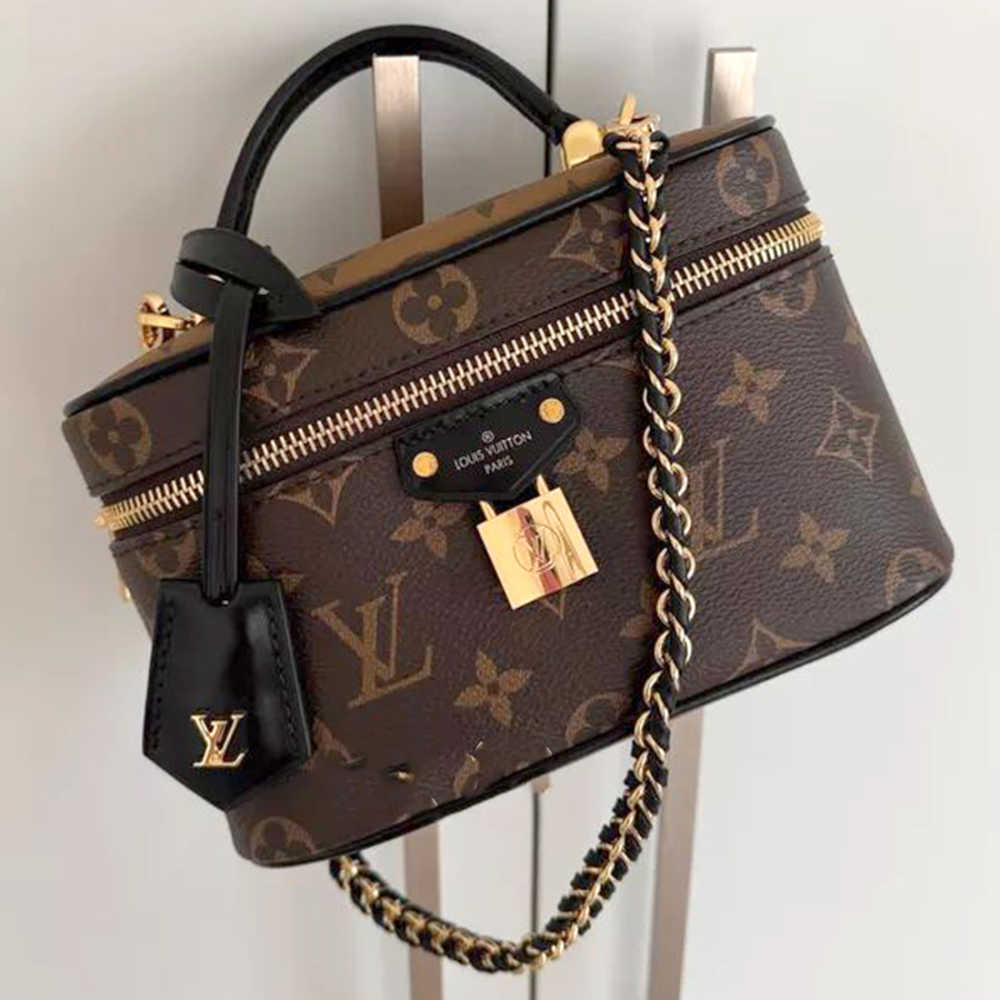 Louis Vuitton Vanity Brown PM Bag