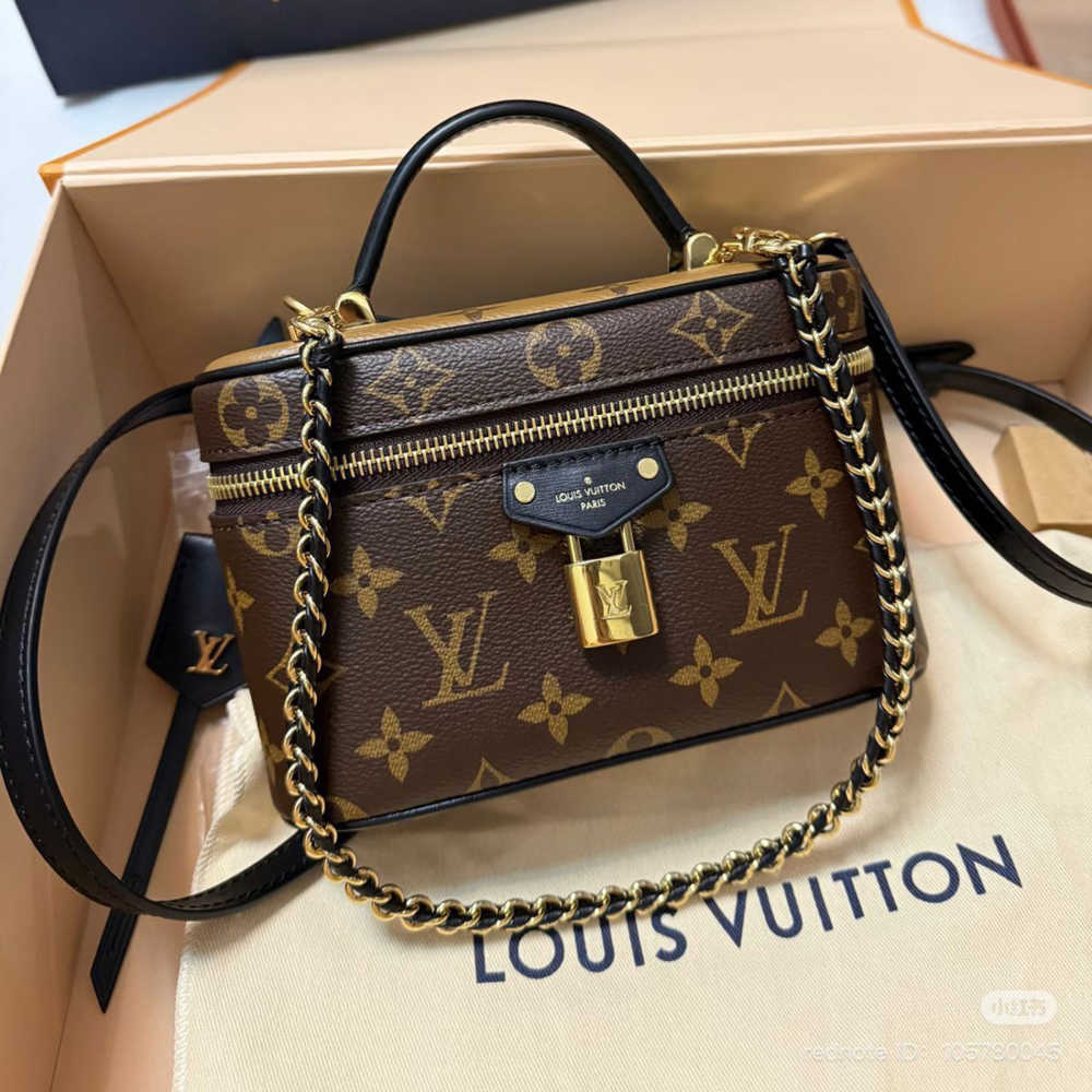 Louis Vuitton Vanity Brown PM Bag-1