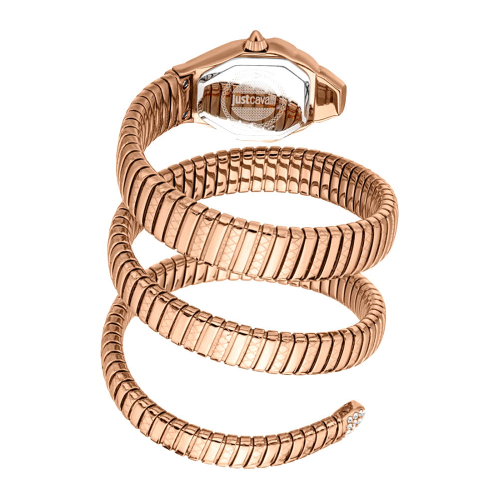 Just Cavalli Women Printed Dial & Stainless Steel Straps Analogue Watch JC1L370M0045-1