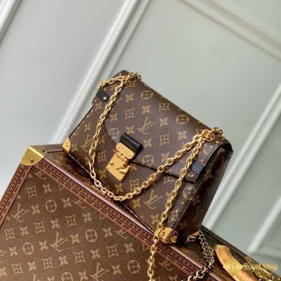 Louis Vuitton Brown Premium Quality Hobo Handbag