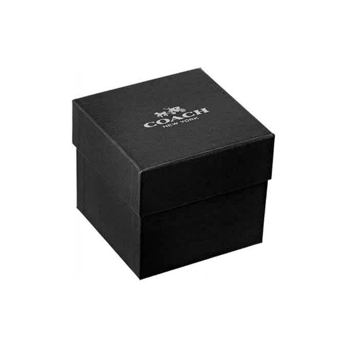 Coach Women Perry Dial & Stainless Steel Bracelet Style Straps Analogue Watch-3