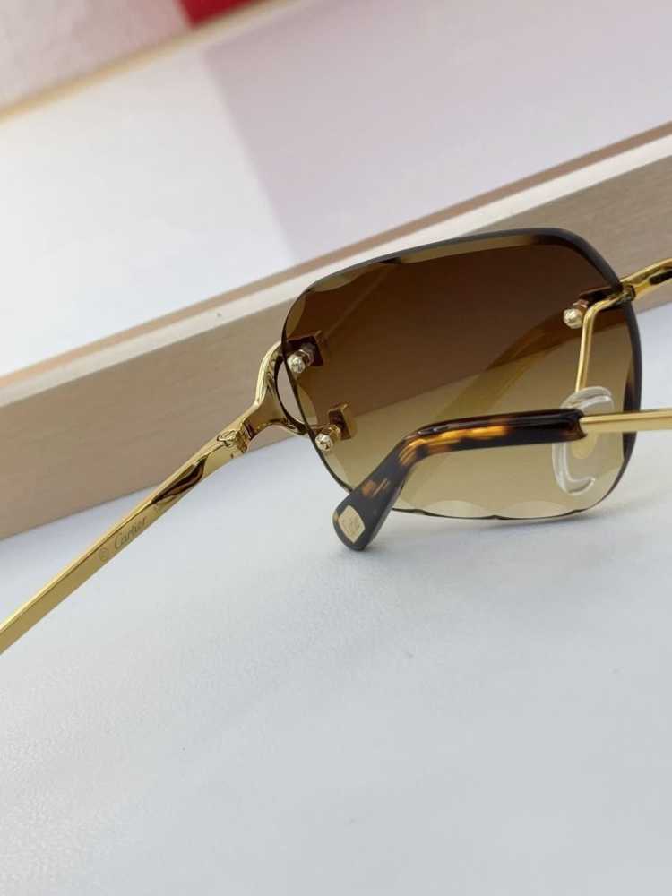 Cartier Colour Changing Lens Brown Premium Sunglasses-5