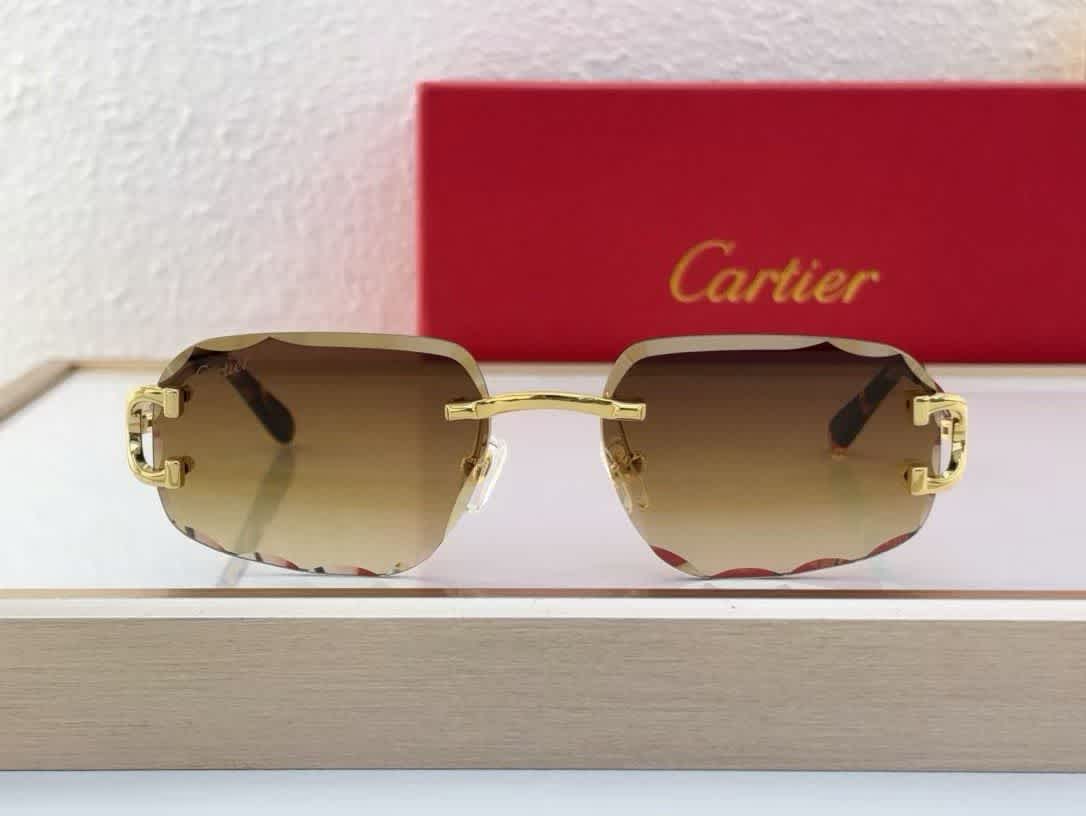 Cartier Colour Changing Lens Brown Premium Sunglasses-2