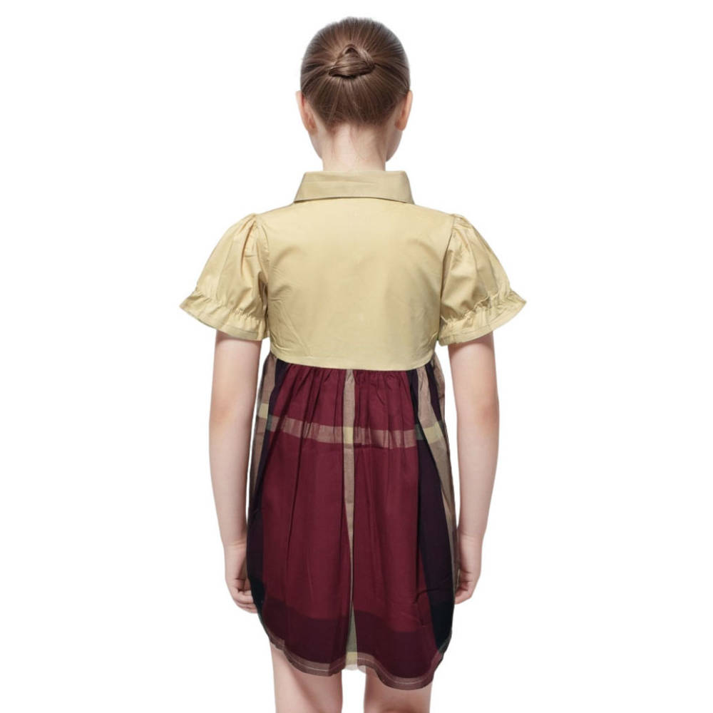 Burberry Brown Premium Quality Dress-1