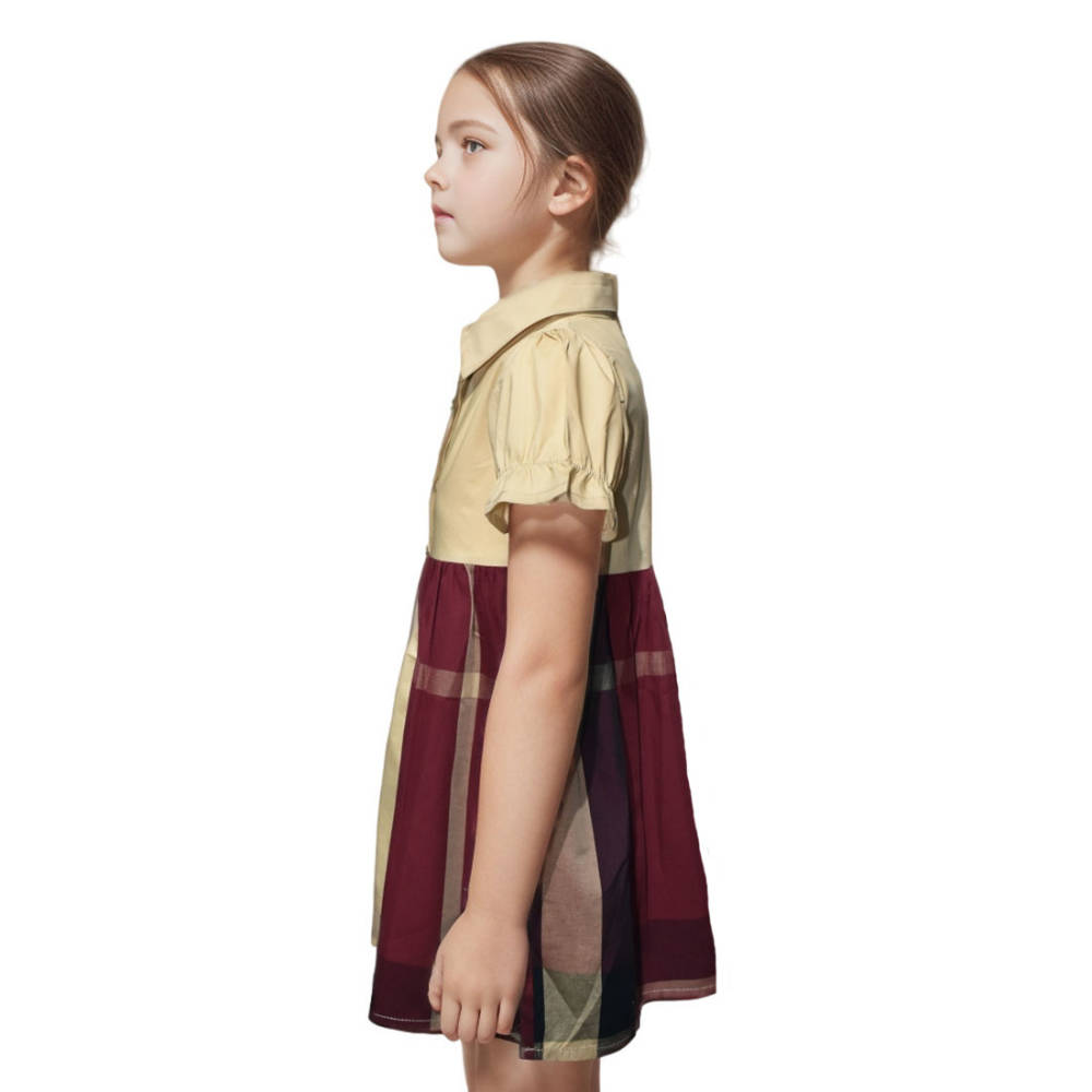 Burberry Brown Premium Quality Dress-2