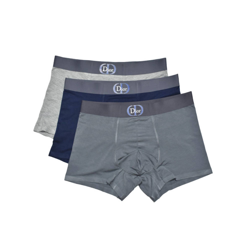 Dior Embossed logo Premium Quality Underwear-thumb-0