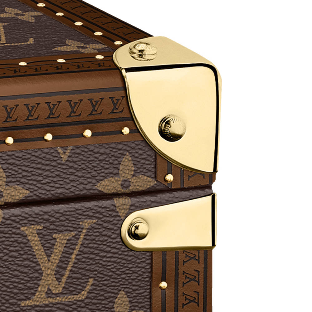Louis Vuitton Brown Luxury 8 Watch Box-3